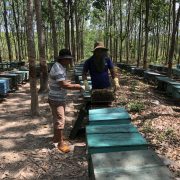 DOC Uses Production Cost in India as Comparison to Impose High Anti-Dumping Duty on Vietnamese Honey Exported to US
