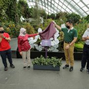 President Halimah Yacob and Tanoto Foundation Unveil Dale Chihuly’s Ethereal White Persians Sculpture at Gardens by the Bay