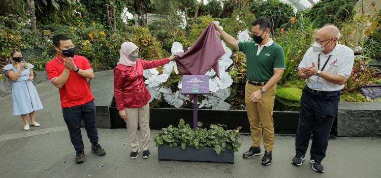 President Halimah Yacob and Tanoto Foundation Unveil Dale Chihuly’s Ethereal White Persians Sculpture at Gardens by the Bay