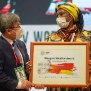 Champion of women’s right to manage land and forests wins top environment prize