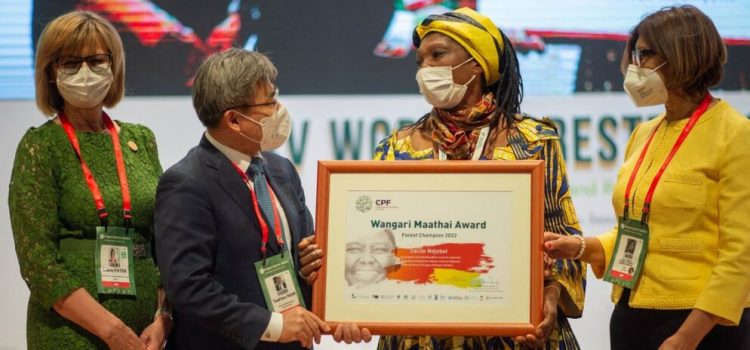 Champion of women’s right to manage land and forests wins top environment prize