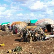 Somalia: ‘Dire and grim’ drought, impacting more than 7 million