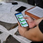Singapore develops Asia’s first AI-based mobile app for shark and ray fin identification to combat illegal wildlife trade