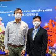 Hong Kong Baptist University biologists discover three new coral species in Hong Kong waters