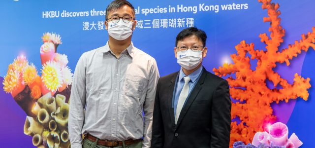 Hong Kong Baptist University biologists discover three new coral species in Hong Kong waters