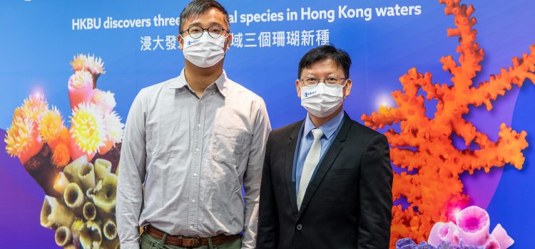 Hong Kong Baptist University biologists discover three new coral species in Hong Kong waters