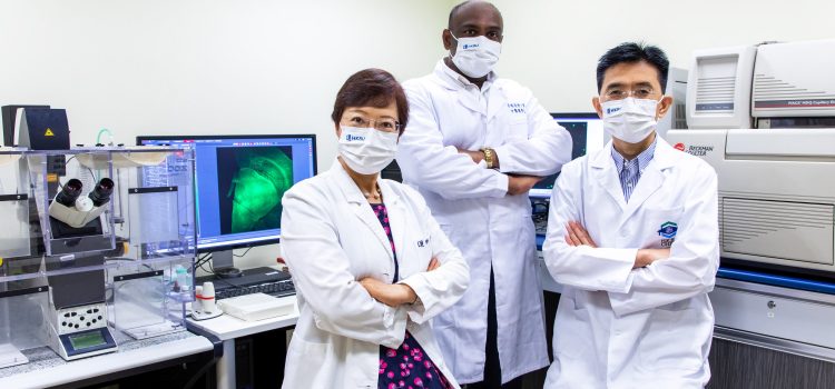 Hong Kong Baptist University scientists develop versatile compound for treating Alzheimer’s disease