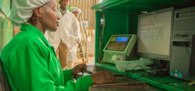 Kenya Tea Development Agency brews perfect technology mix