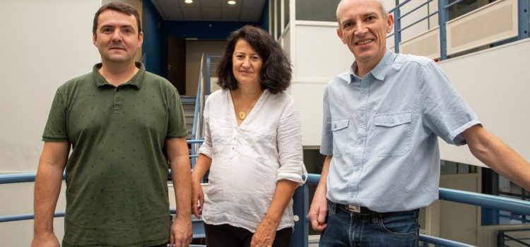 Virtuos Deepens Video Game Engineering Capabilities With the Launch of Virtuos Labs – Montpellier