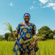  Nestlé partners with Africa Food Prize to strengthen food security and climate change resilience