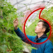 70% of Asia-Pacific businesses see sustainability as important, but less than half say they are committed towards net zero: New Vodafone study