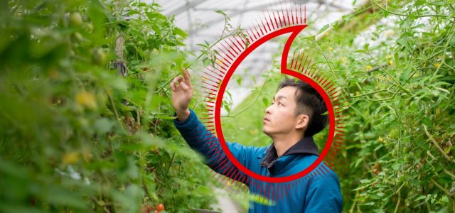 70% of Asia-Pacific businesses see sustainability as important, but less than half say they are committed towards net zero: New Vodafone study