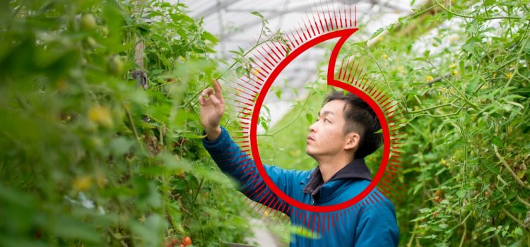 70% of Asia-Pacific businesses see sustainability as important, but less than half say they are committed towards net zero: New Vodafone study