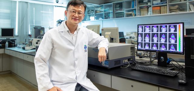 HKBU joint research develops multifunctional nanoparticle for diagnosis and treatment of glioma