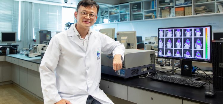 HKBU joint research develops multifunctional nanoparticle for diagnosis and treatment of glioma