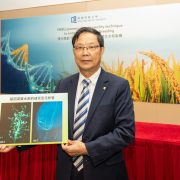 Hong Kong Baptist University-led research facilitates more efficient hybrid rice breeding with pioneering female sterility technique
