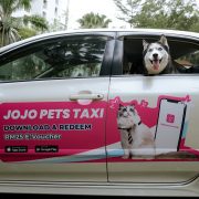 ‘Paw’sitive Outlook for Premium Malaysian Pet-Hailing App JoJo Pets Taxi – Aims For Nationwide Expansion And 100% YOY Growth In 2023