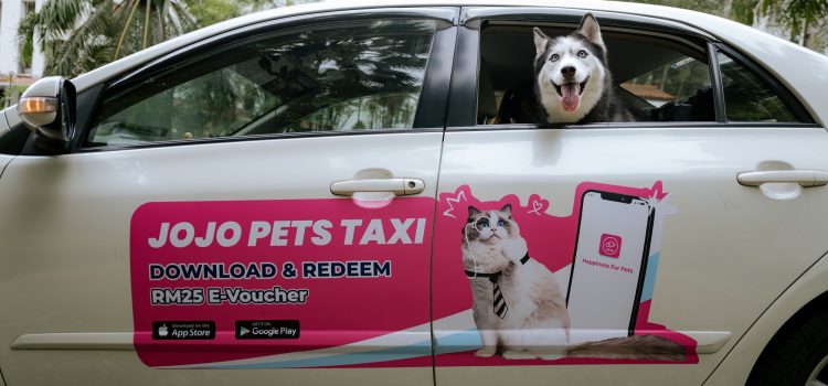 ‘Paw’sitive Outlook for Premium Malaysian Pet-Hailing App JoJo Pets Taxi – Aims For Nationwide Expansion And 100% YOY Growth In 2023