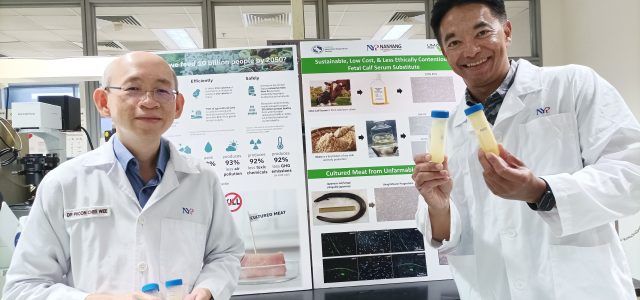 Nanyang Polytechnic develops world’s first unagi cell lines and plant-based growth serum
