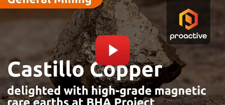Castillo Copper delighted with high-grade magnetic rare earths at BHA Project