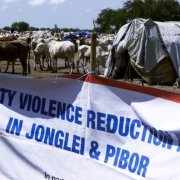 Rights experts say peaceful transition in South Sudan crucial, amid ‘immense suffering’