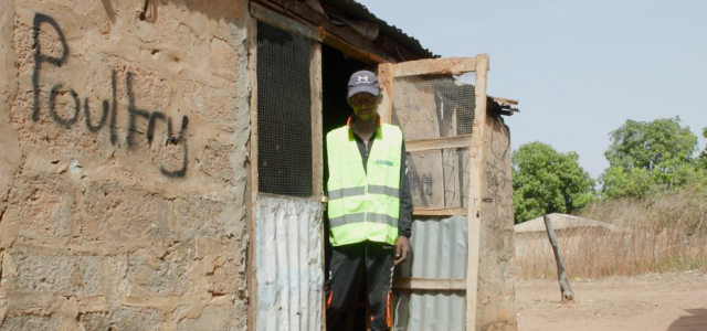 First Person: Hatching a plan for success in rural Gambia