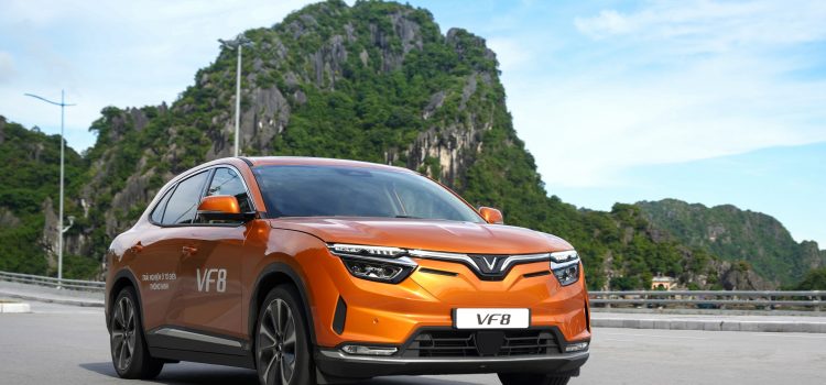 Vingroup Chairman Establishes Electric Vehicle Rental and Taxi Service Company