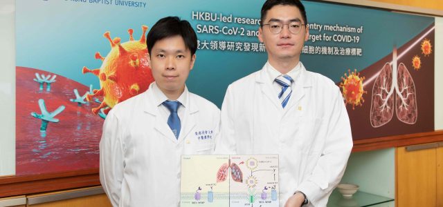 Hong Kong Baptist University-led research unveils cell entry mechanism of SARS-CoV-2 and therapeutic target for COVID-19