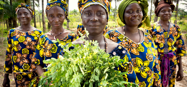 Priority for Guinea: Improving the Status of Women and Girls