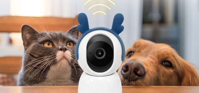 SpotCam Launches a New Cloud Pet Camera
