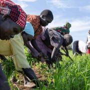 A New Strategy for Tackling Food and Nutrition Security Crises in South Sudan