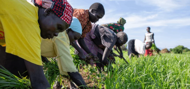 A New Strategy for Tackling Food and Nutrition Security Crises in South Sudan