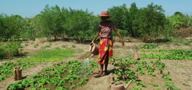 From seeds to solar power in Madagascar: A UN Resident Coordinator blog