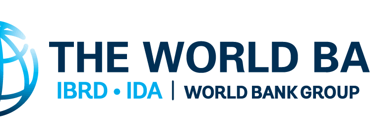 How Can Public-Private Partnerships (PPPs) be Successful?