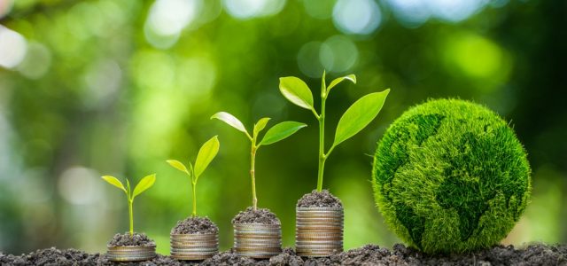 China Business Knowledge White Paper Series: The Unstoppable Rise of Sustainable Investing