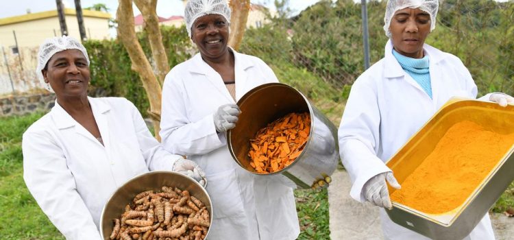 Transformative power of food production in Mauritius: A UN Resident Coordinator blog