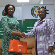 The Vice-President of the ECOWAS Commission, H.E. Mrs Damtien L. Tchintchibidja met with a delegation from the UN Women Representation in Nigeria