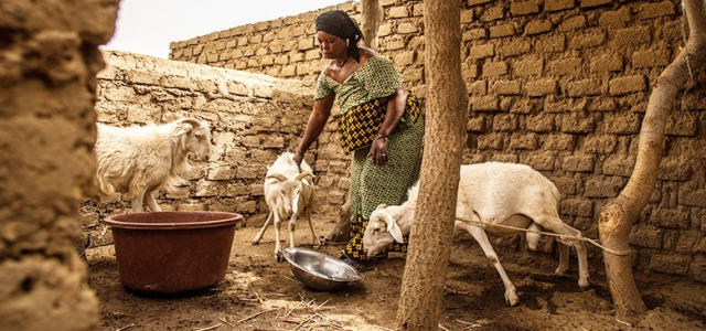 Mali: Strengthening Financial Resilience to Recurrent Droughts