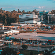 Efficient State-Owned Enterprises Will Boost Eswatini’s Economic Growth