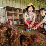 Experiencing Kaohsiung’s Rural and Fishing Villages and Enjoying the Beautiful Scenery