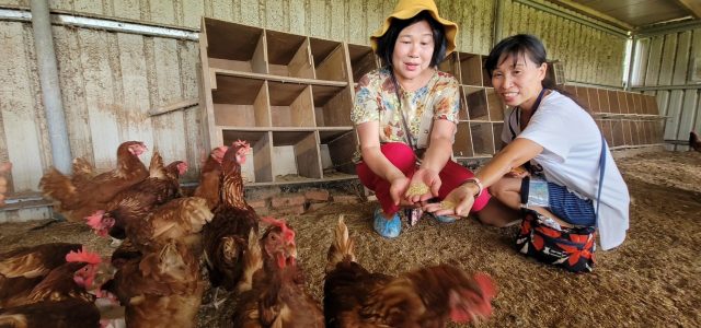 Experiencing Kaohsiung’s Rural and Fishing Villages and Enjoying the Beautiful Scenery