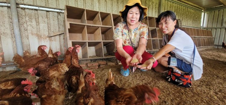 Experiencing Kaohsiung’s Rural and Fishing Villages and Enjoying the Beautiful Scenery