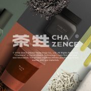 ZENCE OBJECT Secures $2.5 Million in Seed Funding to Commercialise Sustainable Materials from Tea Residuals