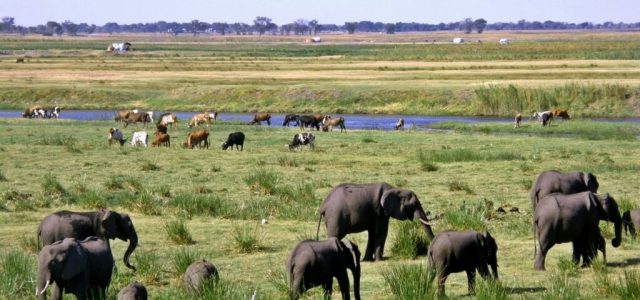 Conservation International and Peace Parks Foundation Commit USD $150 million to  Restore 20 Million Hectares Across African Grasslands, Savannahs and Bushlands 