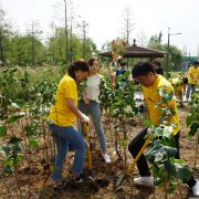 Global Volunteer Day: 1.3 million DHL Group employees have engaged in the past 15 years