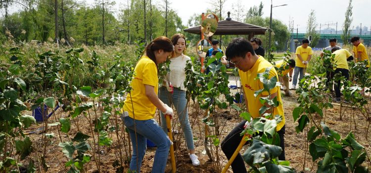 Global Volunteer Day: 1.3 million DHL Group employees have engaged in the past 15 years