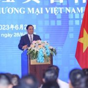 Vietnam and China: comprehensive agricultural cooperation