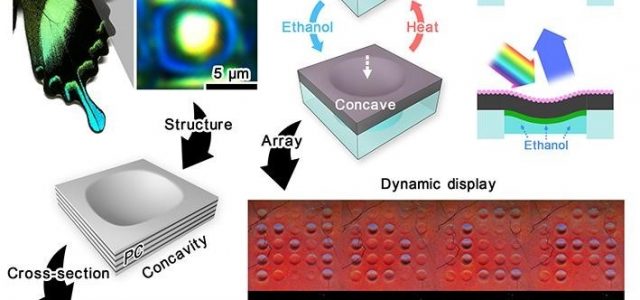 HKU Engineering researchers develop a soft colour-changing system that may lead to revolutionary optical devices