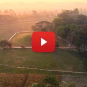 Ramagrama Stupa the Sole Undisturbed Original Stupa Containing Relics of Lord Buddha to be Preserved and Developed