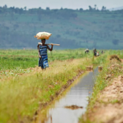Congo: African Development Bank’s 2023-2028 Country Strategy Paper sets developing sustainable infrastructure and improving economic governance as key priorities